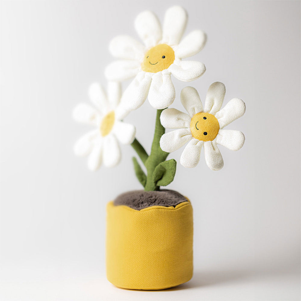 Amuseable Daisy