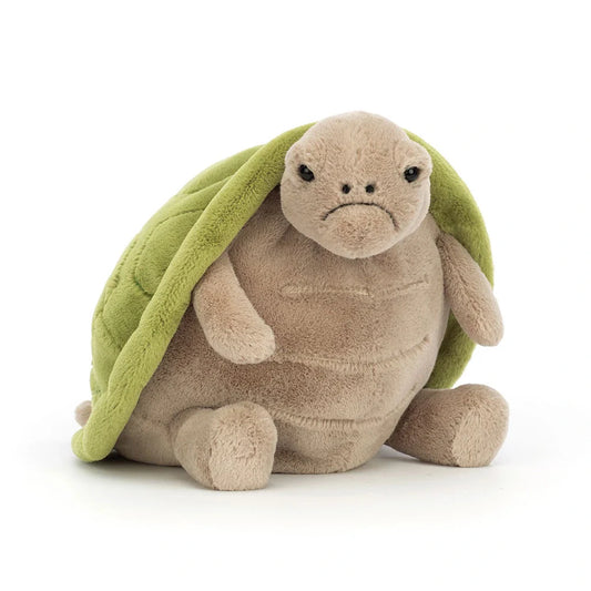 Tortuga Timmy
