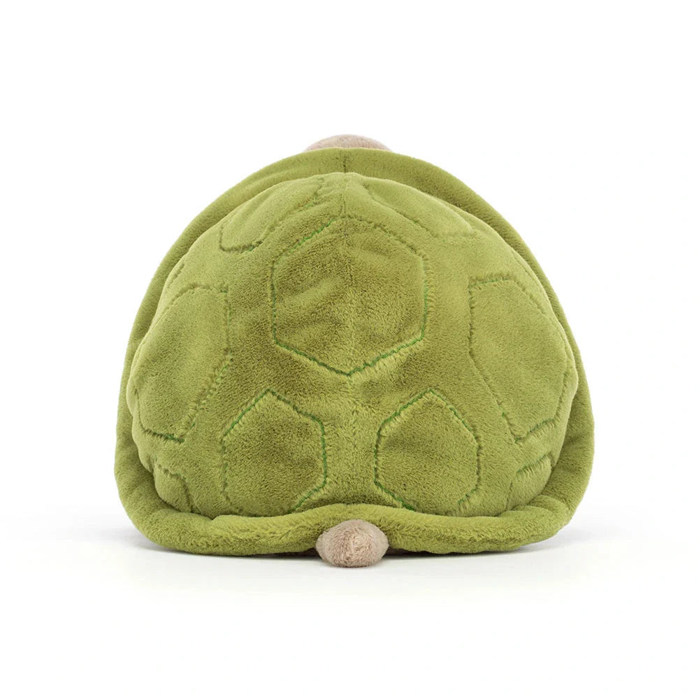 Tortuga Timmy