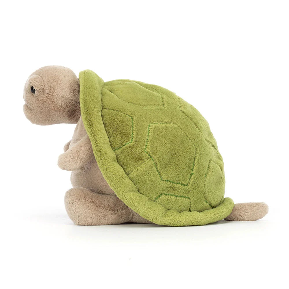 Tortuga Timmy